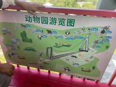 -西霞口神雕山野生动物世界