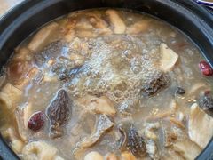 -蘑统田下·野生菌火锅