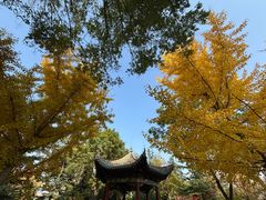 -金城公园