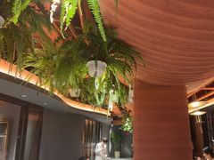 -滇野云南野生菌餐厅(陕西南路店)