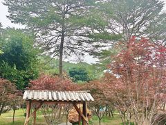 -广州市帽峰山景区