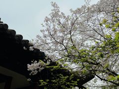 -杭州植物园