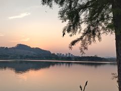 -鹤之洲湿地公园