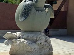 -广东惠东海龟国家级自然保护区