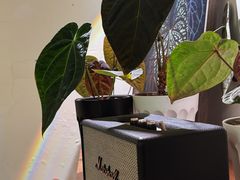 -本無咖啡·BeanWood Coffee