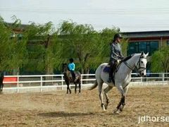-月河湾马术俱乐部(朝阳店)