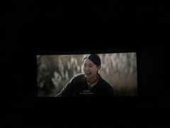 -万达影城 (甘井子万达广场IMAX店)