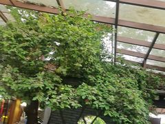 -李东农庄(中南百草园地标店)