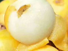 -塘栖枇杷特色园区