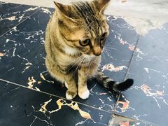 -邓莽子老火锅(中兴路总店)