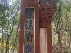 -老君山