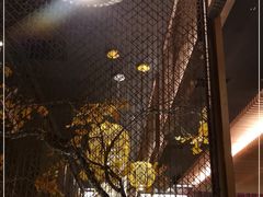 -京华烟云·北京烤鸭(领展购物广场·中关村店)