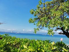 -三亚蜈支洲岛旅游区