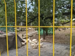 -丽泽山庄·生态怀柔菜·虹鳟鱼(红螺寺店)