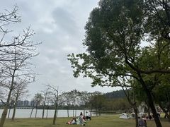 -顺峰山公园