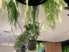 -三个椰子·现砍椰子鸡(金源CBD店)