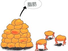 -加伍磅健身(千树店)