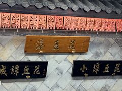 -西月城谭豆花(春熙路店)