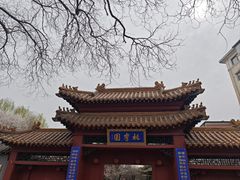 -桃花堤公园