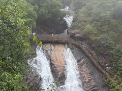 -广州白江湖森林公园