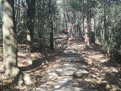 -西湖风景区十里琅珰-五云山