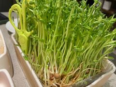 -海底捞火锅(群光广场店)