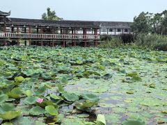 -洪湖生态旅游区