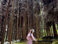 -太阳湾风景区