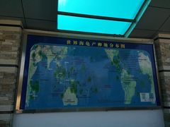 -广东惠东海龟国家级自然保护区