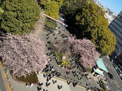 -麻辣大学(上野店)