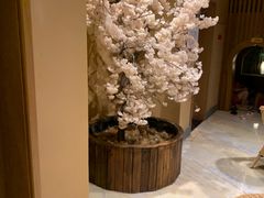 -固安来康郡来康温泉