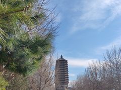-玲珑塔公园