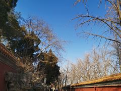 -拿渡·水煮鱼 麻辣香锅(西单大悦城店)
