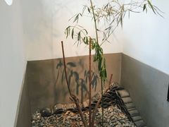 -古耳咖啡(北锣店)