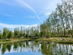 -合肥滨湖国家森林公园