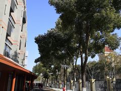 -金陵中学(河西分校)