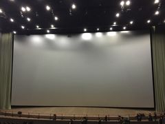 -天幕新彩云国际影城(激光巨幕店)