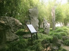 -上海醉白池公园