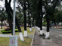 -四川大学(望江校区)