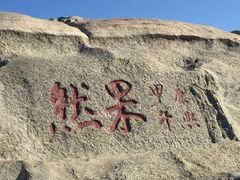 -神憩宾馆-餐厅