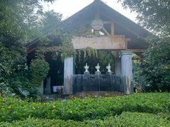 -腾冲洞山温泉村