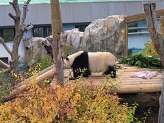 -青藏高原野生动物园