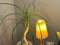 -凡人&庄阿姨的辣(万寿亭店)