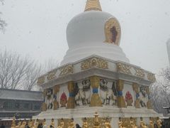 -护国法轮寺