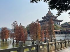 -顺峰山公园