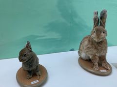 -国家自然博物馆