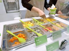 -Salud撒露欧洲冻酸奶(蓝色港湾店)