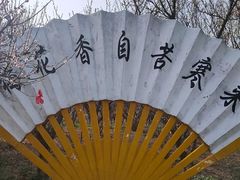 -泗洪洪泽湖湿地景区