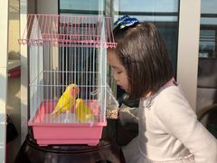 -证大大拇指广场(芳甸路店)