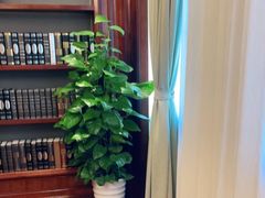 -梦都海鲜酒家(万达广场江桥店)